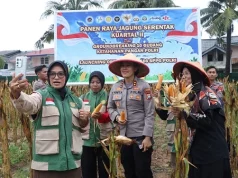 Panen Jagung Serentak, Polres Karimun Perkuat Program Ketahanan Pangan